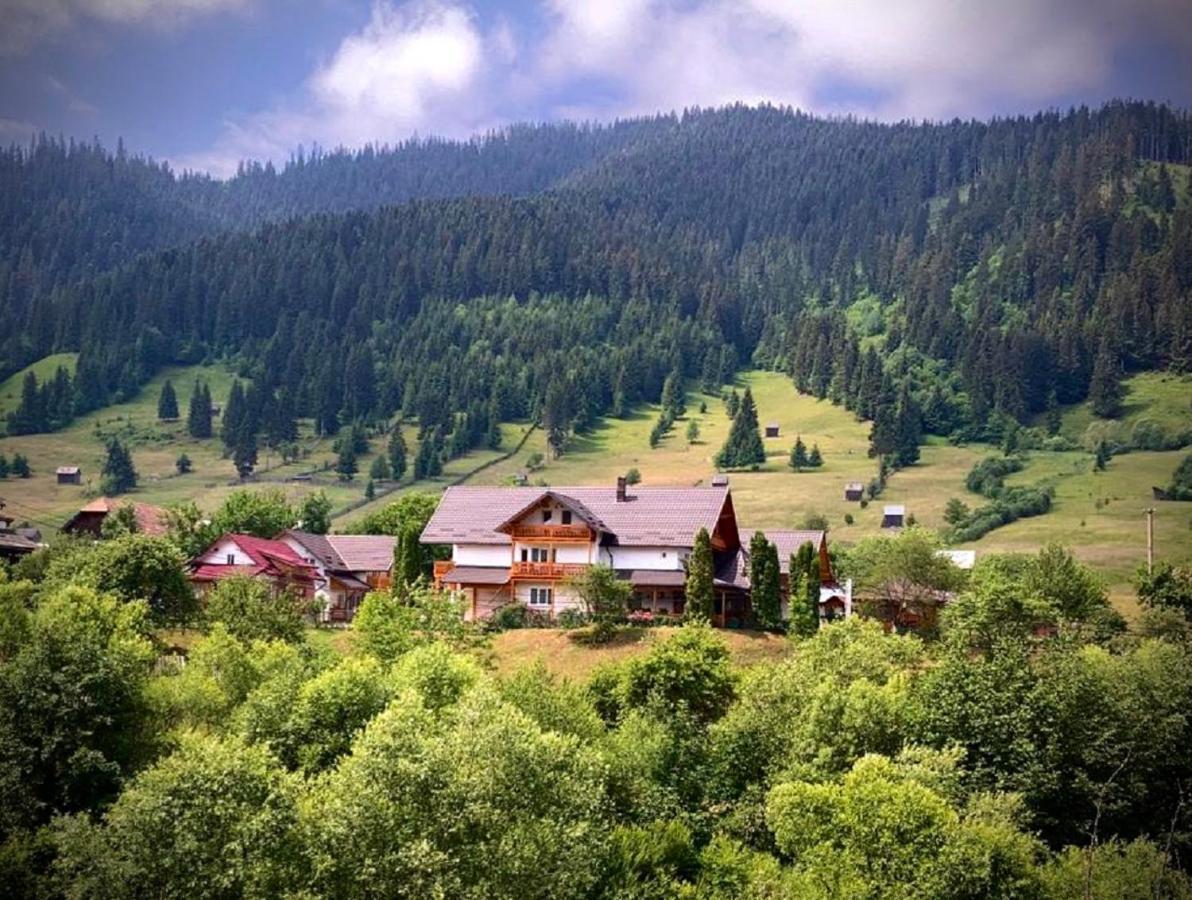 Pensiunea Casa-Stefanel Sadova (Suceava) Exterior foto